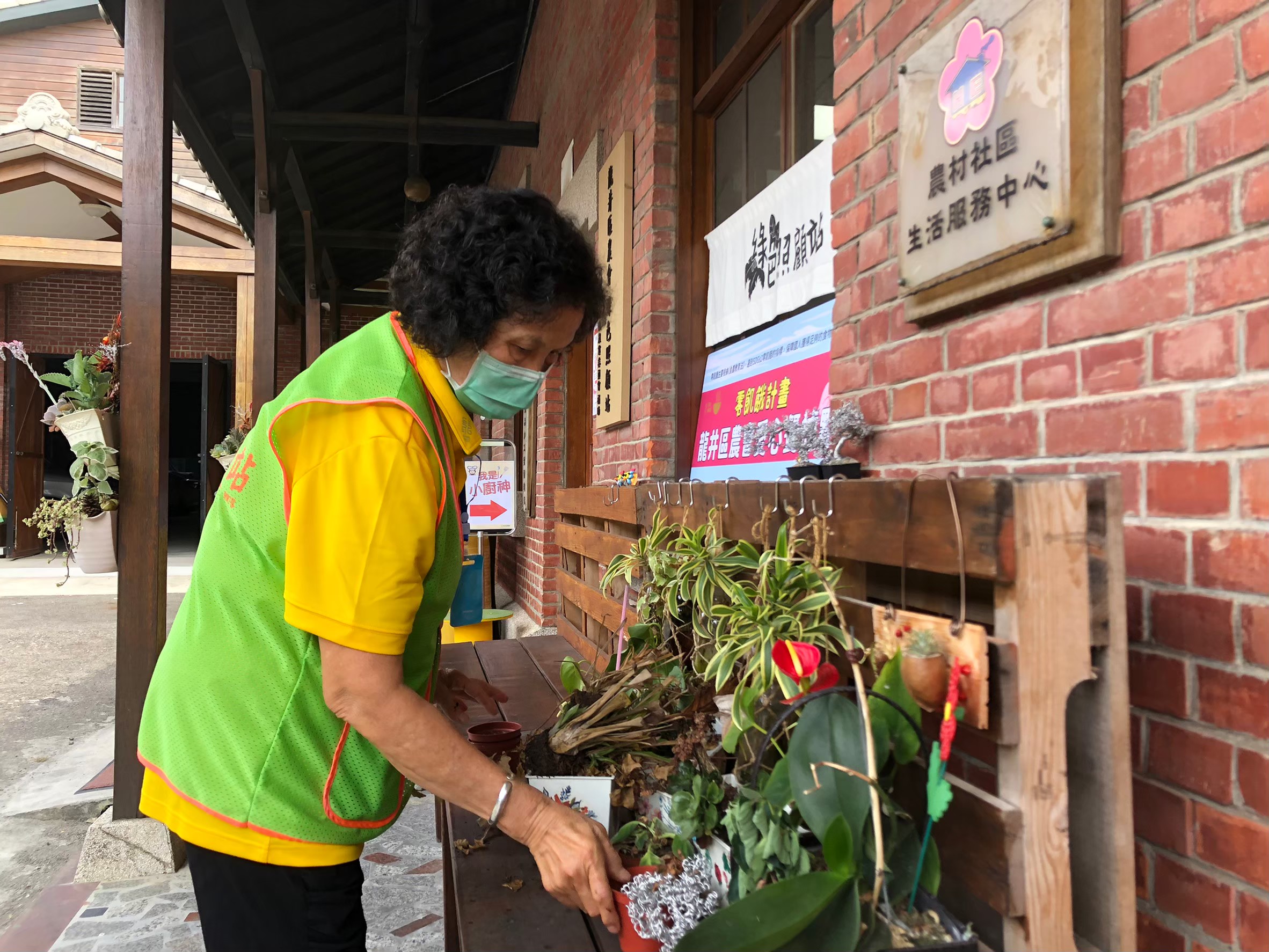 綠照站開心農場